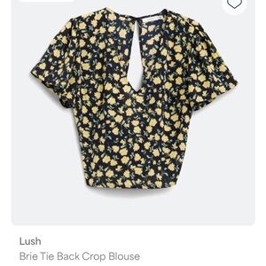 Lush Black and Yellow Tie Front Crop Blouse